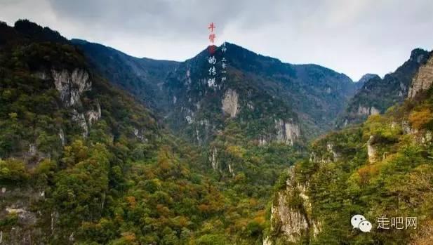 解答疑惑,尽在面粉和土豆怎么做好吃问答社区