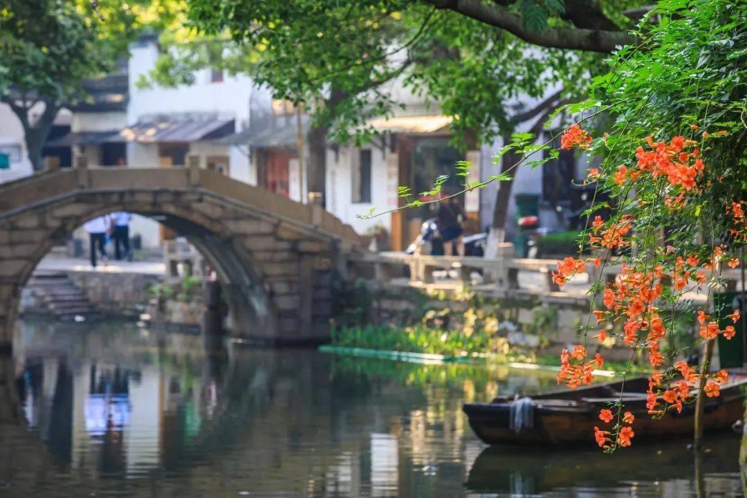 动物帮帮忙保卫家园